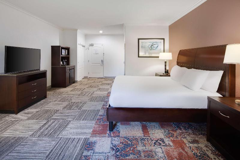 キングサイズベッドのスタンダードルーム, Hilton Garden Inn Tyler