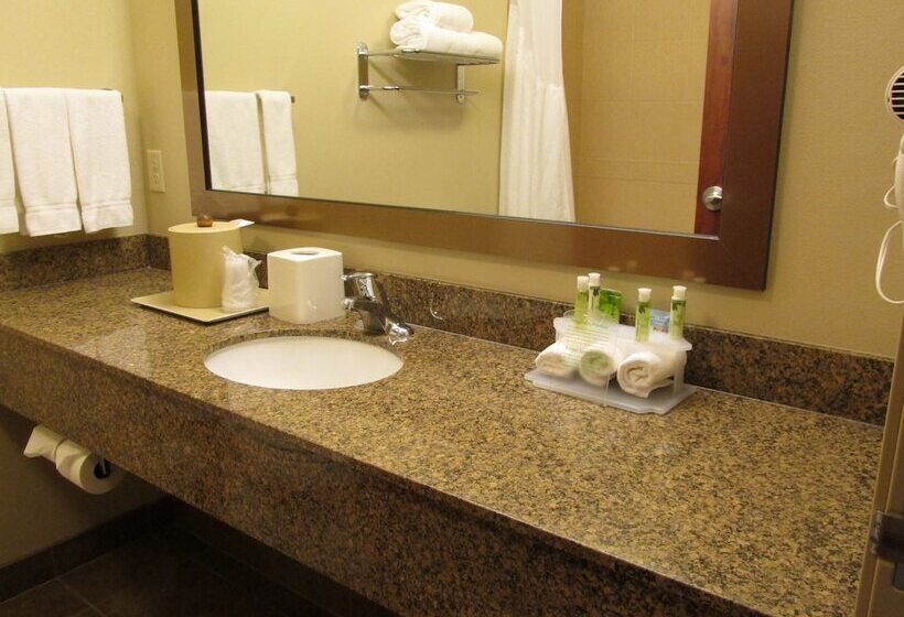 Люкс, Holiday Inn Express & Suites Sioux Falls Southwest, An Ihg