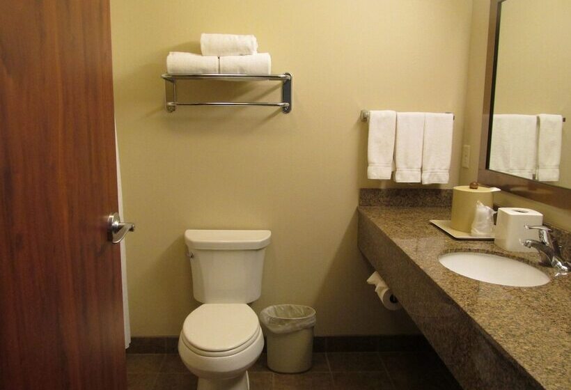 标准间, Holiday Inn Express & Suites Sioux Falls Southwest, An Ihg