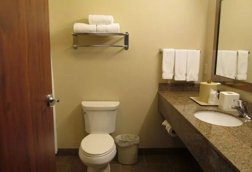 اتاق استاندارد, Holiday Inn Express & Suites Sioux Falls Southwest, An Ihg