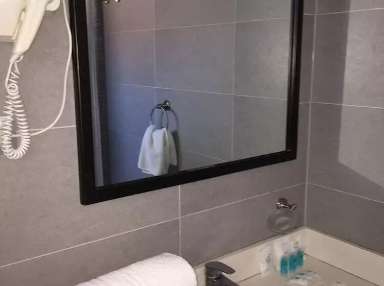 اتاق استاندارد چهار تخته, Gavina Express Iquique