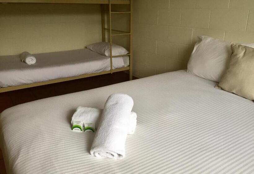 经济型三人房间, Koala Beach Resort Cairns