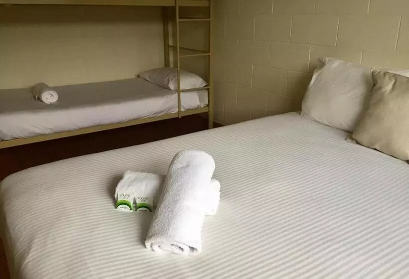エコノミートリプルルーム, Koala Beach Resort Cairns