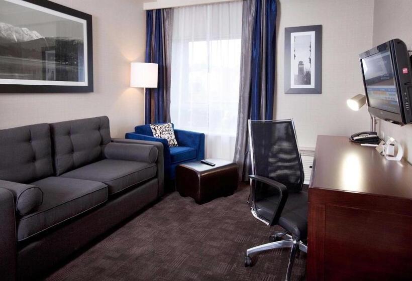 Büyük Çift Kişilik Yataklı Süit, Sandman Signature Langley