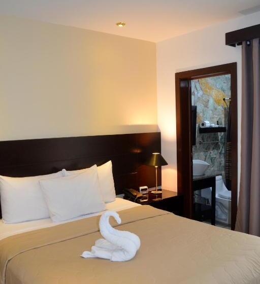 اتاق استاندارد یک نفره, Villa Florencia Zona Rosa