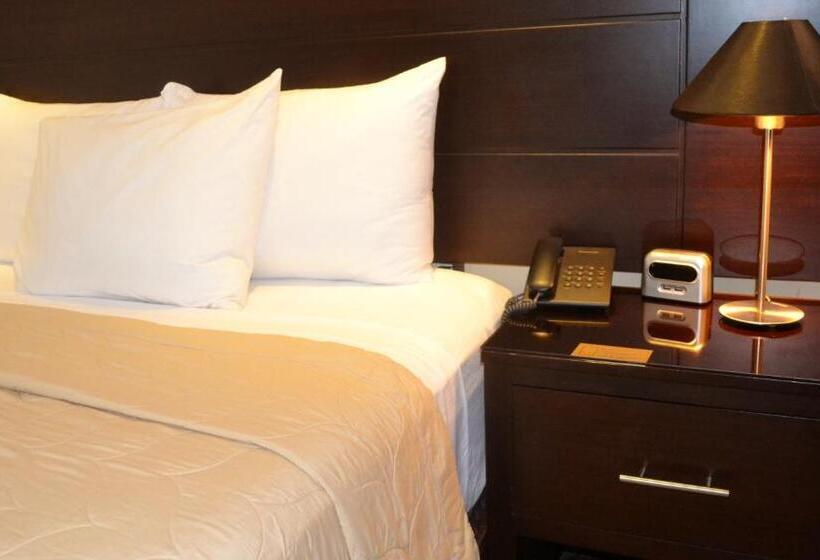 اتاق استاندارد یک نفره, Villa Florencia Zona Rosa