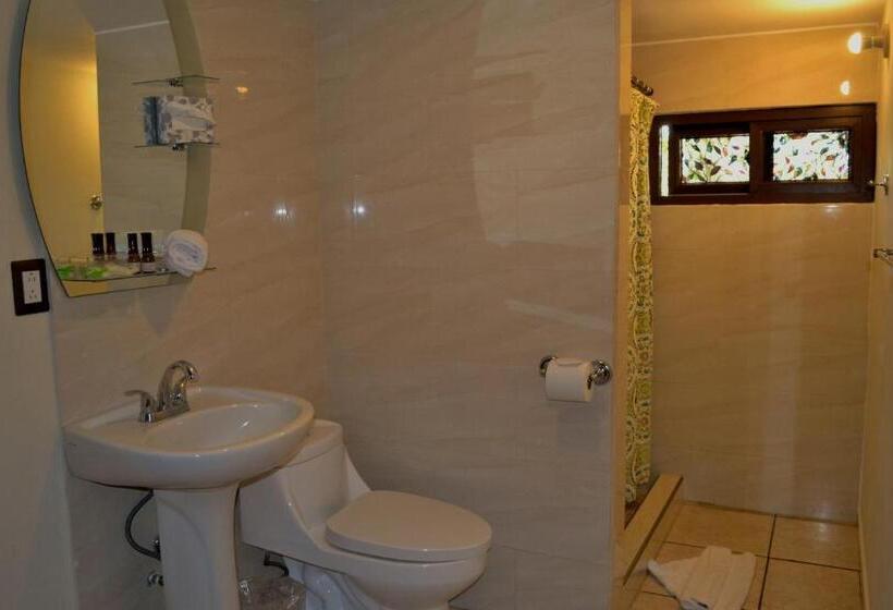 اتاق استاندارد, Villa Florencia Zona Rosa