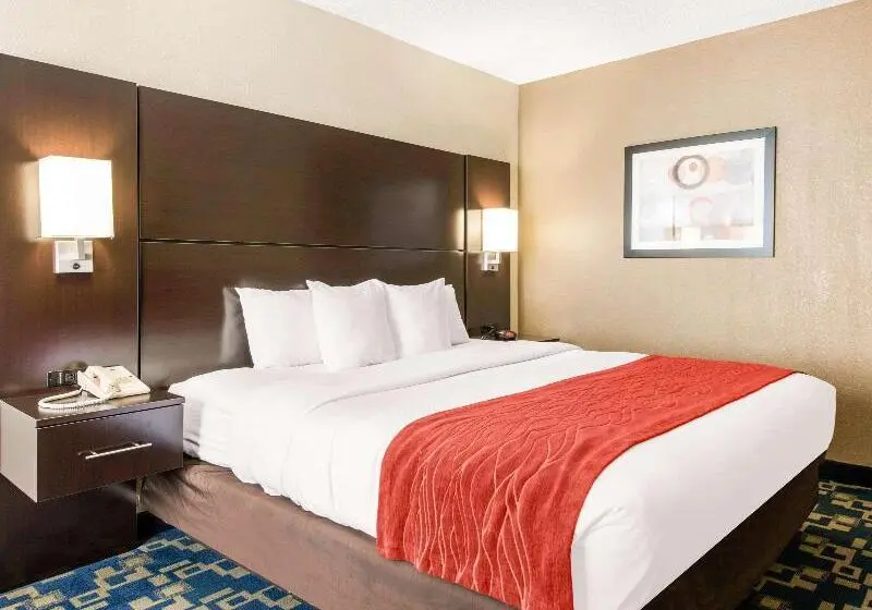 キングサイズベッドのスタンダードルーム, City Express by Marriott Orlando International Drive