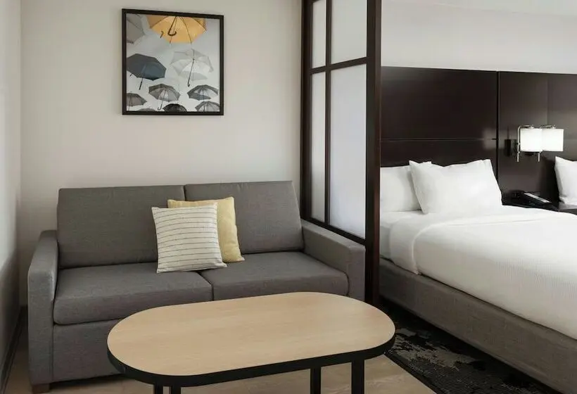 スイート, City Express by Marriott Orlando International Drive