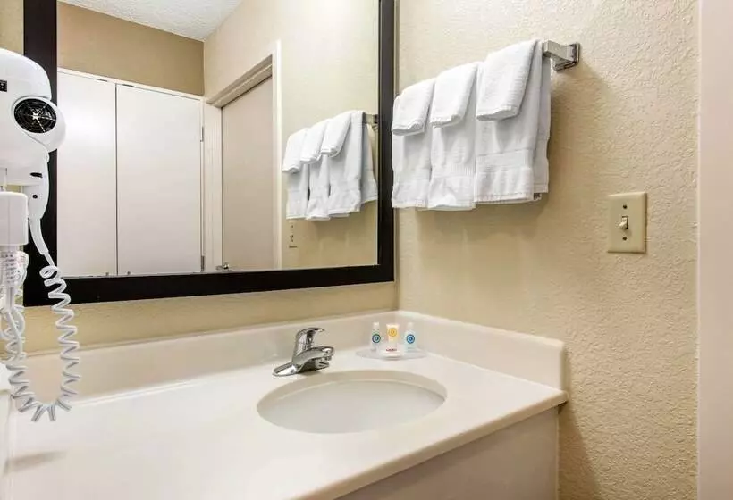 スイート, City Express by Marriott Orlando International Drive