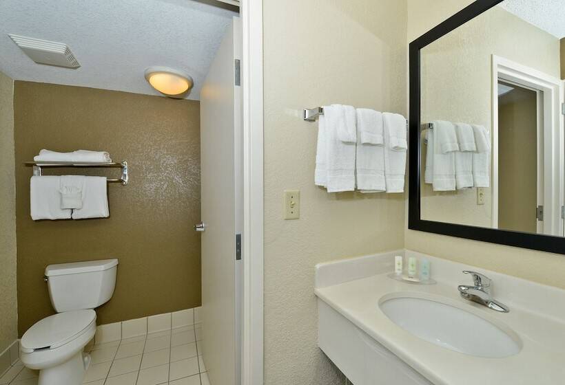 スイート, Comfort Inn & Suites Near Universal Orlando Resortconvention Ctr