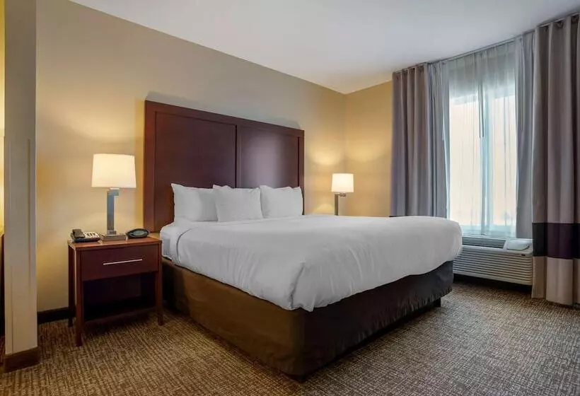 スイート, Comfort Suites Foley  North Gulf Shores
