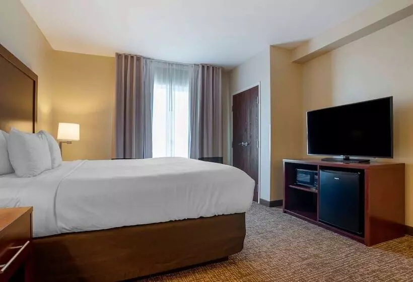 スイート, Comfort Suites Foley  North Gulf Shores