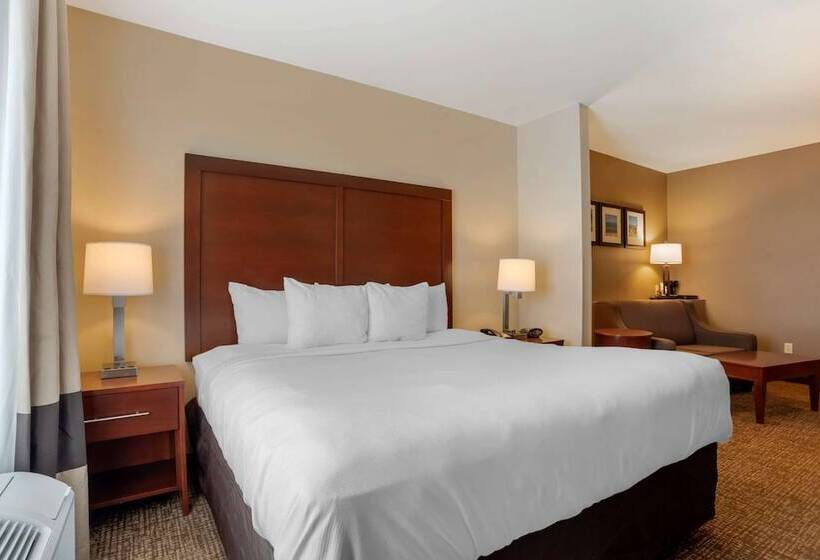 Люкс Адаптированный для Инвалидов, Comfort Suites Foley  North Gulf Shores