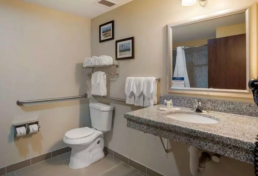 身障者適用スイートルーム, Comfort Suites Foley  North Gulf Shores