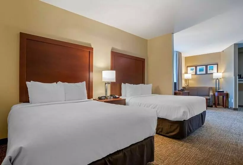 身障者適用スイートルーム, Comfort Suites Foley  North Gulf Shores