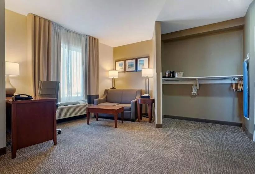 身障者適用スイートルーム, Comfort Suites Foley  North Gulf Shores