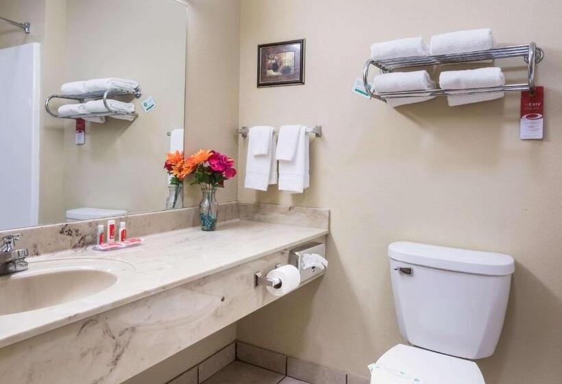Quarto Estandar Cama King, Econo Lodge  Inn & Suites