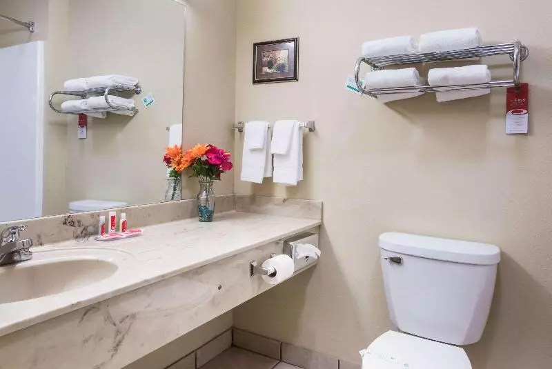 キングサイズベッドのスタンダードルーム, Econo Lodge  Inn & Suites