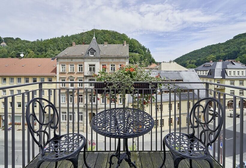 Номер Deluxe Одноместный, Elbresidenz An Der Therme