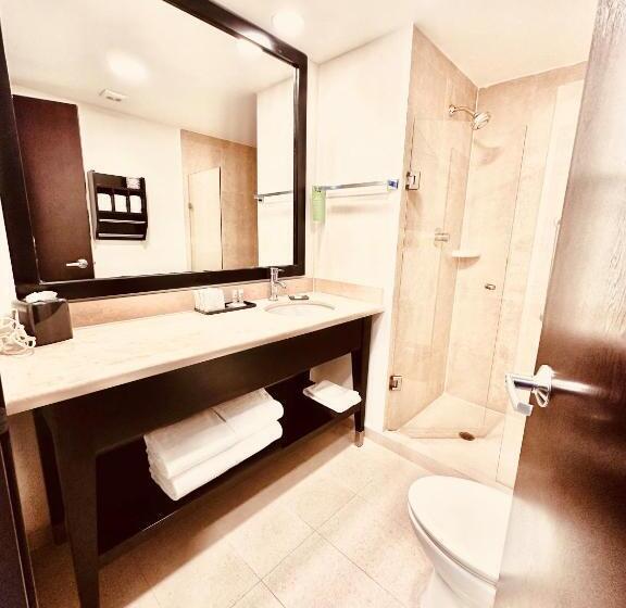 غرفة قياسية سرير كينج, La Quinta By Wyndham San Luis Potosi