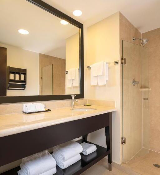 غرفه قياسيه سريرين مزدوجين, La Quinta By Wyndham San Luis Potosi