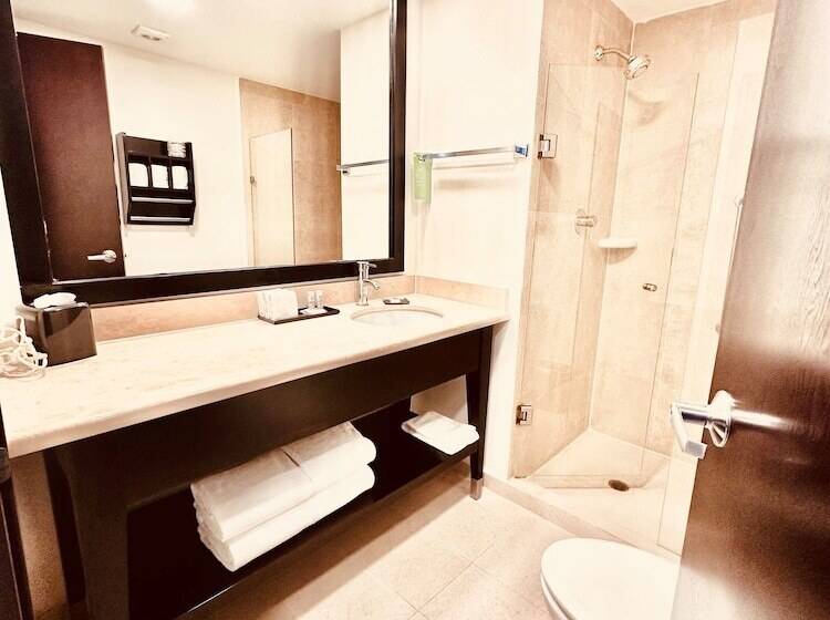 غرفه قياسيه سريرين مزدوجين, La Quinta By Wyndham San Luis Potosi