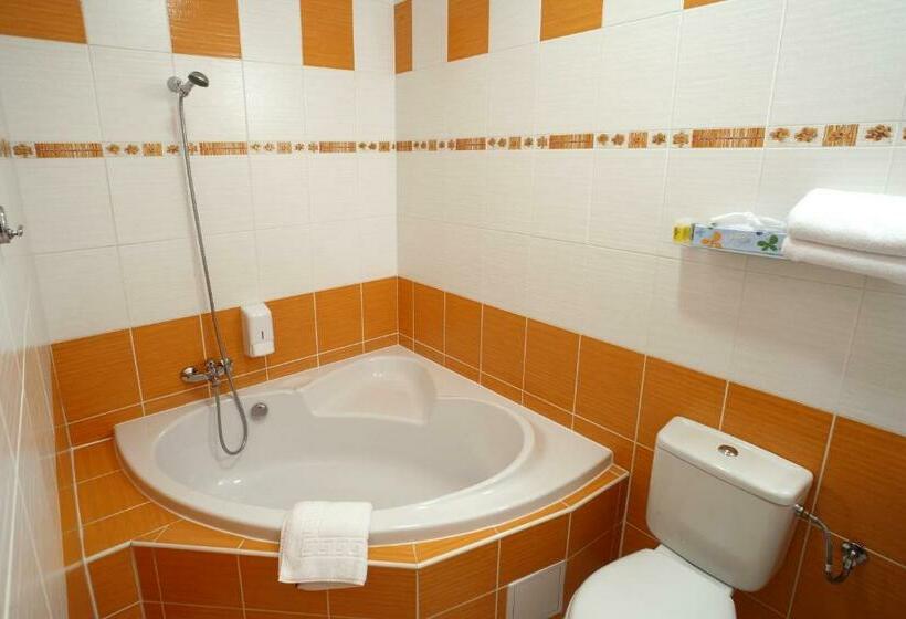 غرفة سوبيريور فردية, Palace