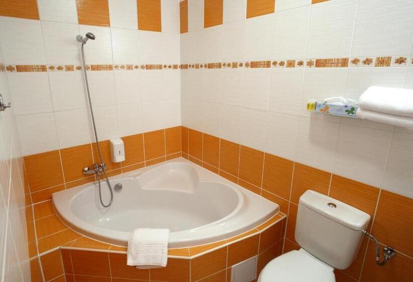 غرفة سوبيريور, Palace