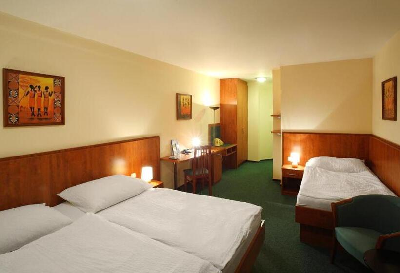 غرفة سوبيريور ثلاثية, Palace