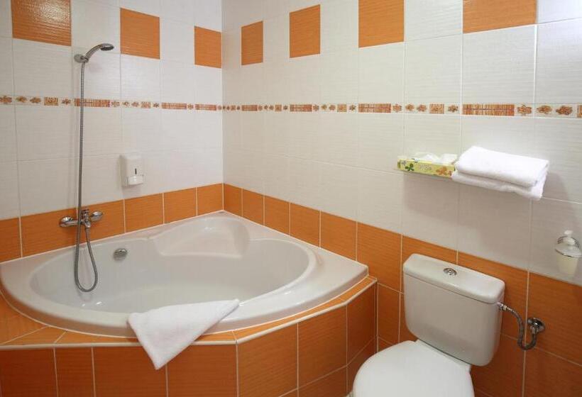 غرفة سوبيريور, Palace