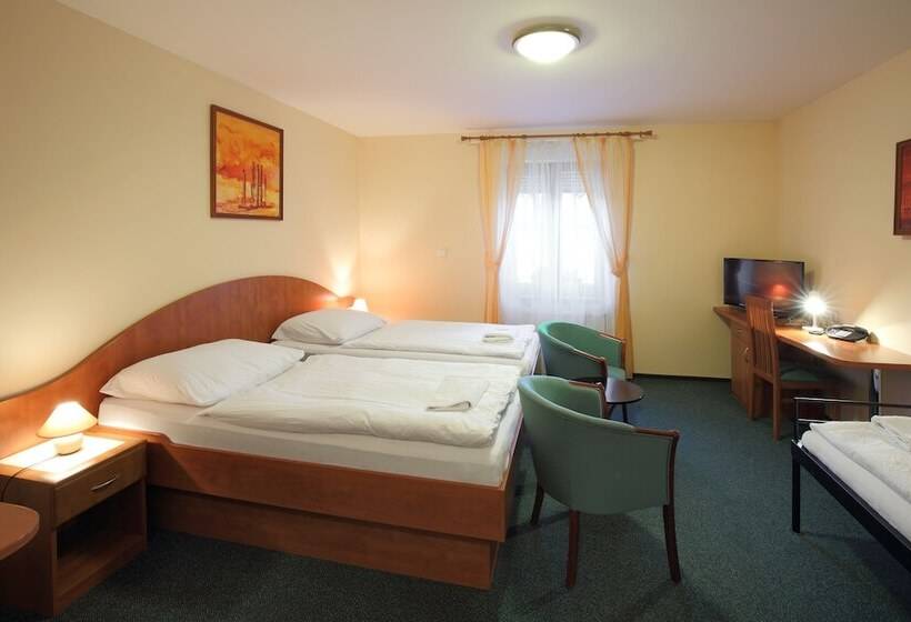 غرفة سوبيريور ثلاثية, Palace