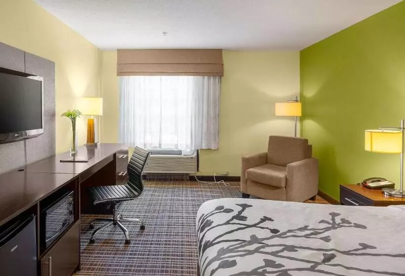 キングサイズベッドのスタンダードルーム, Sleep Inn & Suites Harbour Pointe