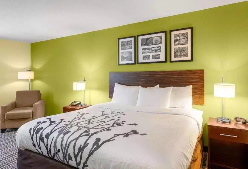 キングサイズベッドのスタンダードルーム, Sleep Inn & Suites Harbour Pointe