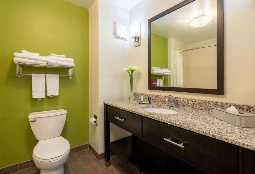 キングサイズベッドのスタンダードルーム, Sleep Inn & Suites Harbour Pointe