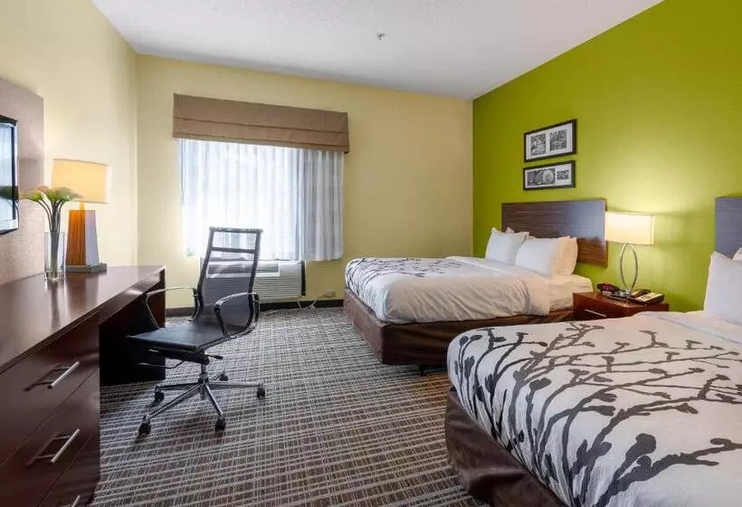 スタンダードルーム, Sleep Inn & Suites Harbour Pointe
