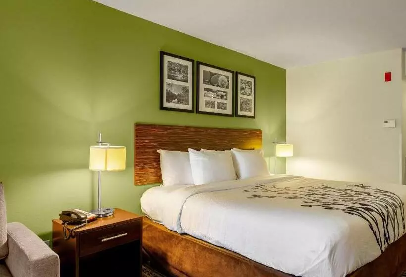 身障者適用キングサイズベッドルーム, Sleep Inn & Suites Harbour Pointe