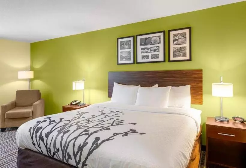 身障者適用キングサイズベッドルーム, Sleep Inn & Suites Harbour Pointe