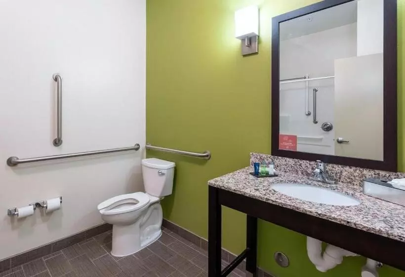 身障者適用キングサイズベッドルーム, Sleep Inn & Suites Harbour Pointe