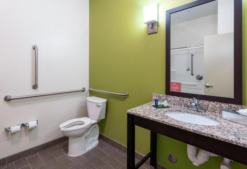身障者適用スタンダードルーム, Sleep Inn & Suites Harbour Pointe