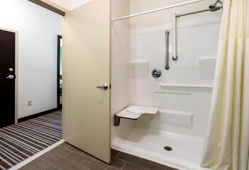 适合残疾人使用的标准间, Sleep Inn & Suites Harbour Pointe