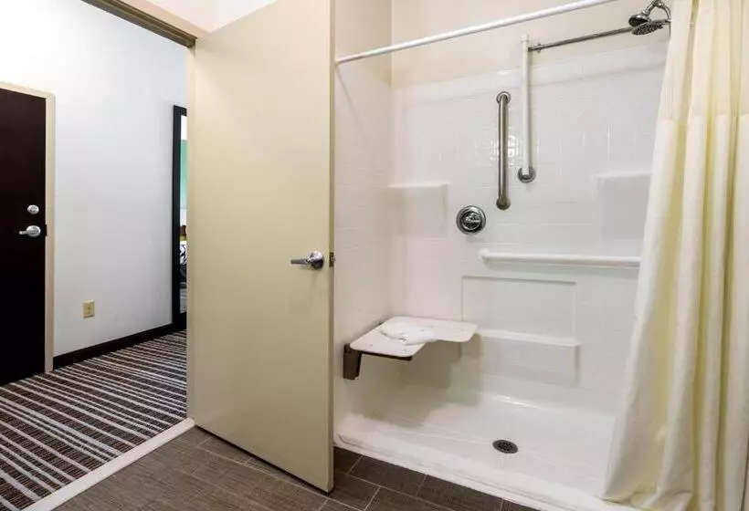 身障者適用スタンダードルーム, Sleep Inn & Suites Harbour Pointe