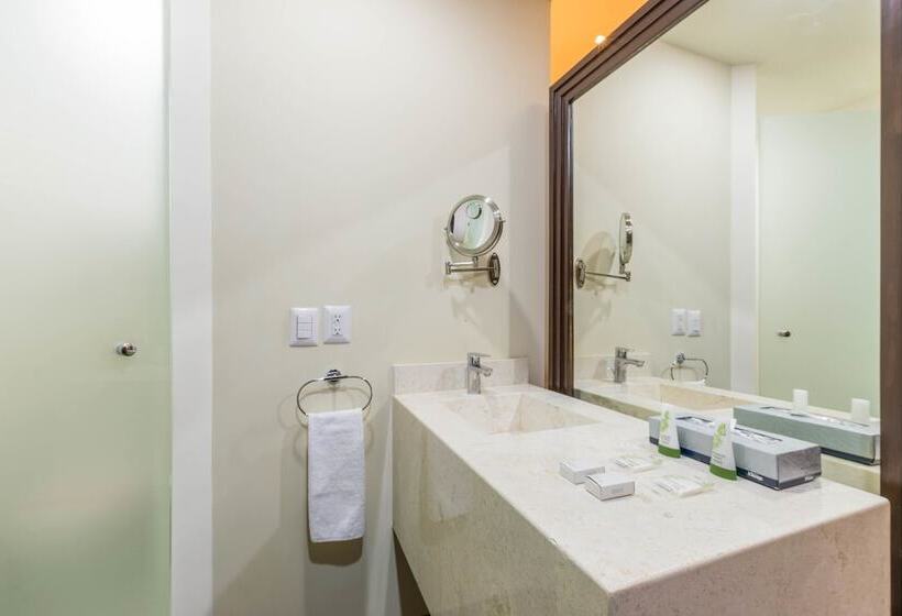 غرفه قياسيه سريرين مزدوجين, Plaza Stadium