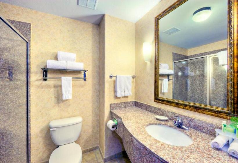 חדר סטנדרט עם מיטת קינג, Holiday Inn Express And Suites Granbury, An Ihg