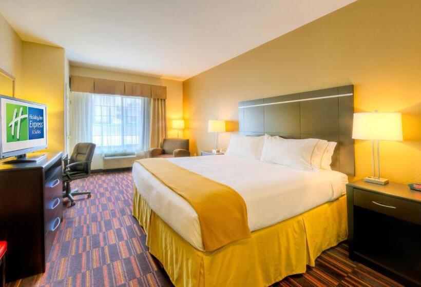 غرفة قياسية سرير كينج, Holiday Inn Express And Suites Granbury, An Ihg