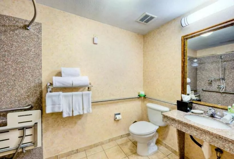 身障者適用キングサイズベッドルーム, Holiday Inn Express And Suites Granbury, An Ihg