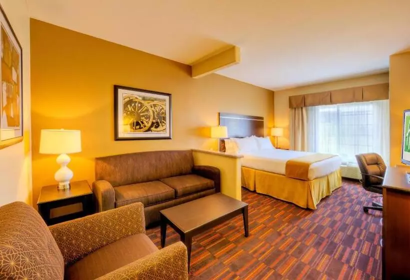 身障者適用キングサイズベッドルーム, Holiday Inn Express And Suites Granbury, An Ihg
