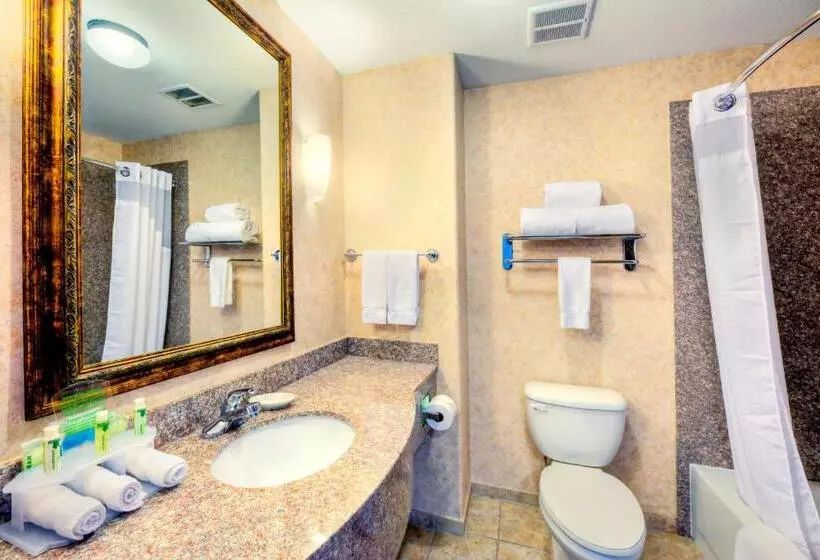 スタンダードルーム, Holiday Inn Express And Suites Granbury, An Ihg