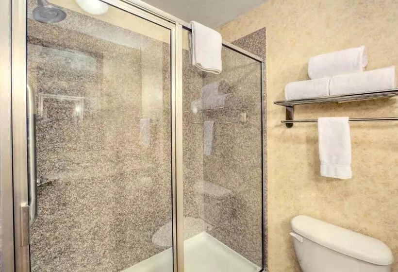 身障者適用スタンダードルーム, Holiday Inn Express And Suites Granbury, An Ihg
