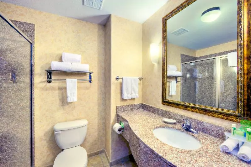 キングサイズベッドのスイートルーム, Holiday Inn Express And Suites Granbury, An Ihg